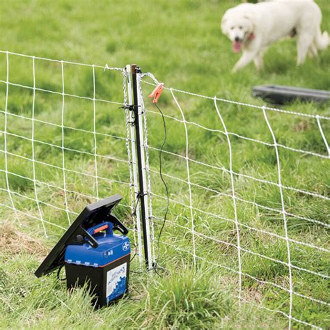 temporary electric fence for livestock